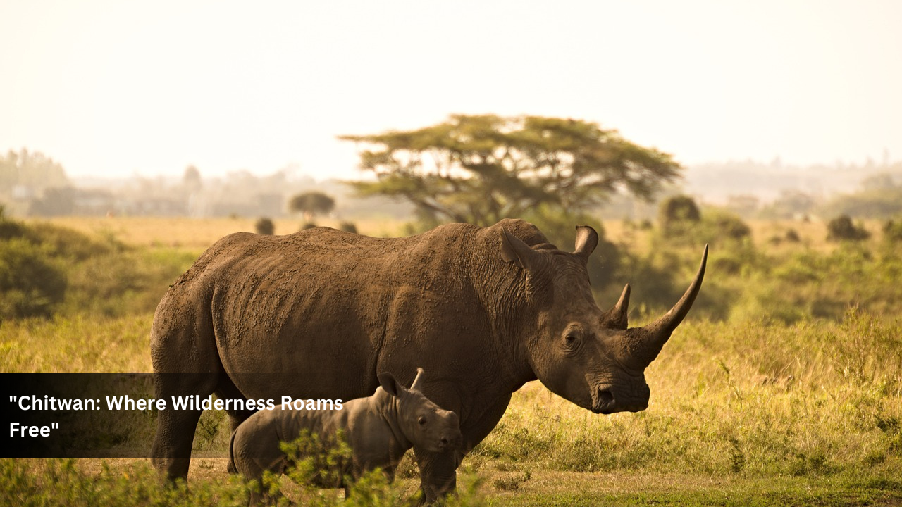 Kathmandu | Nagarkot | Pokhara | Lumbini | Chitwan